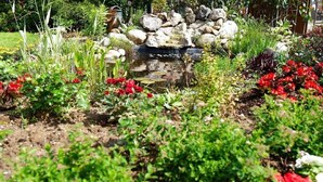 Un jardín con un estanque, rocas y diversas plantas y flores.