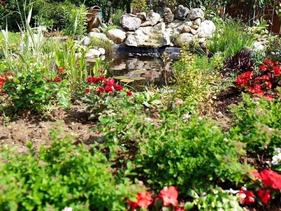 A garden with a pond, rocks, and various plants and flowers.