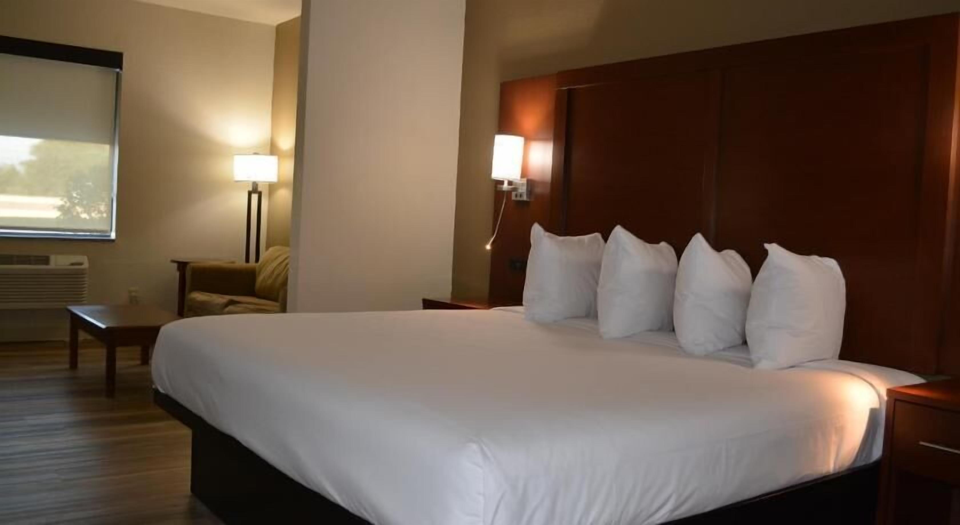Premium bedding, individually decorated, individually furnished, desk