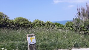 A signpost with a yellow arrow pointing left, surrounded by greenery and a clear sky.