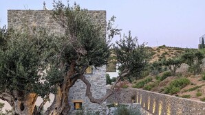 Ein Steinhaus mit einem großen Baum davor.