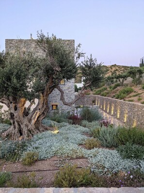 Terrain de l’h ébergement 
