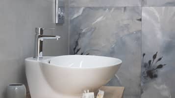 Shower, hair dryer, bidet, towels