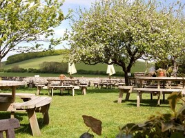 Vista desde la propiedad