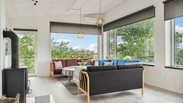 Smart TV, fireplace, DVD player, stereo