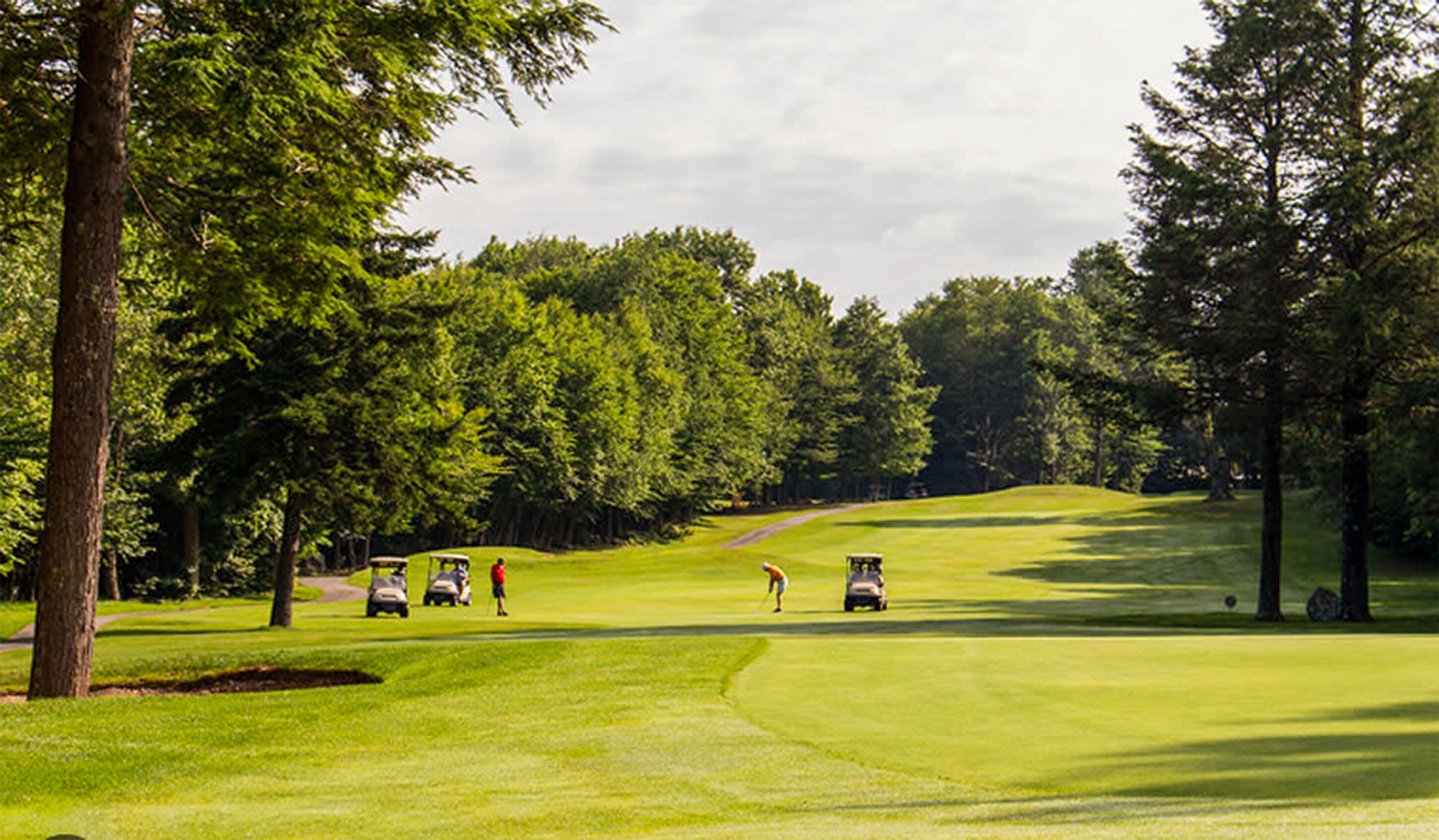 A golf course with a well-maintained green, trees, and golf carts.