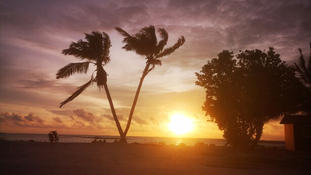 A beach scene with palm trees and a sunset. - Everest Lodge  (Hulhudhoo)