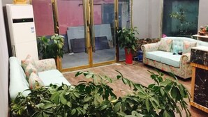 A living room with a sofa, a coffee table, and potted plants. - 99 Express Hotel (Lixin)