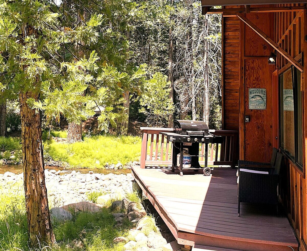 Imagen de perfil del propietario o de la propietaria