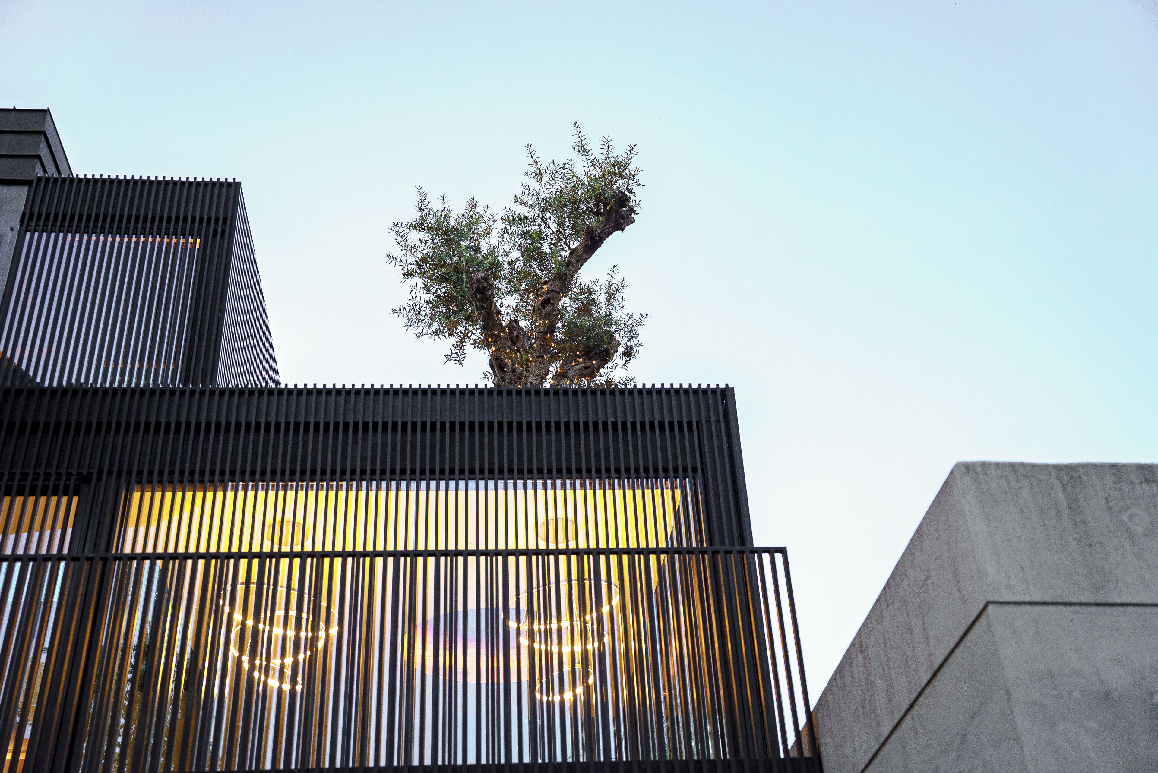 Un edificio moderno con listones verticales y un árbol con luces.