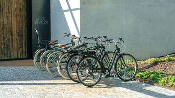 A row of bicycles parked outside a building with a wooden door and a sign that reads "SILVALDE".