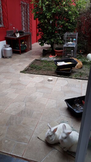 Property grounds - Comfortable house near the beach (Itapema)