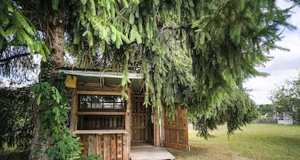 â
Maison des Pics â
Villa 10-12pers â
Piscine â
Vue