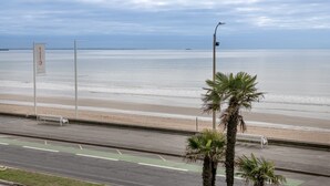 Una carretera costanera amb una banca i palmeres, amb vista a una platja.