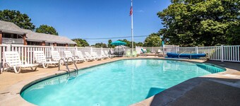 King room - 1 King bed