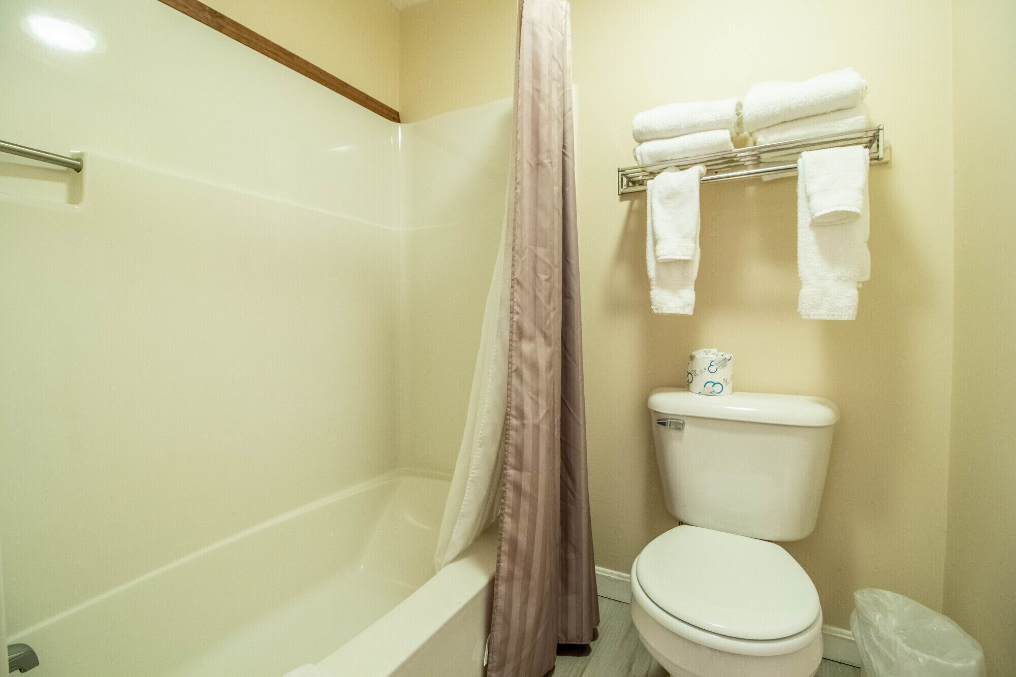 A bathroom with a bathtub, toilet, and shower curtain.