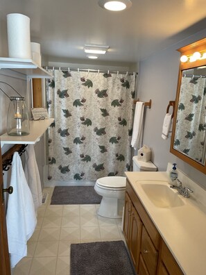 Haartrockner, Handtücher, Seife, Toilettenpapier