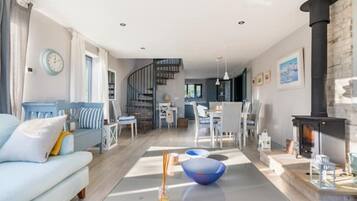 Smart TV, fireplace, DVD player, books