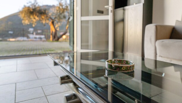 Interior moderno com uma mesa de vidro, um sofá e vista para uma árvore e um edifício lá fora.