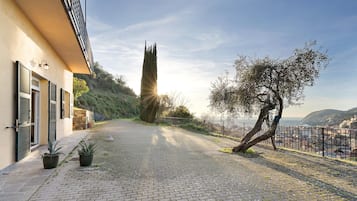 Parco della struttura