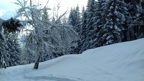 Parco della struttura