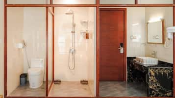 A bathroom with a glass-enclosed shower, a toilet, a sink with a marble countertop, and a wooden door.
