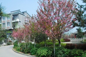 Edificio residencial con entrada circular, rodeado de vegetación exuberante y árboles en flor.