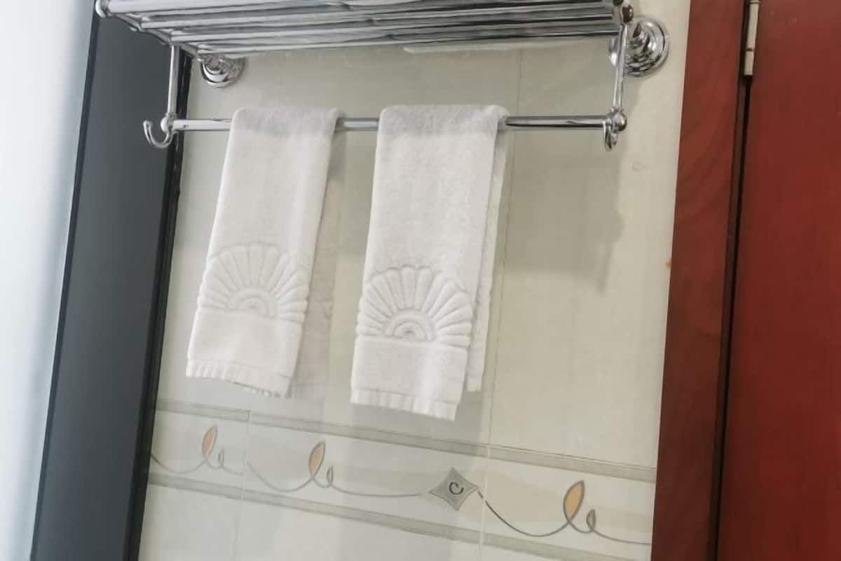 Une salle de bain avec une porte de douche en verre, un porte-serviettes avec deux serviettes et une bordure décorative en carreaux.