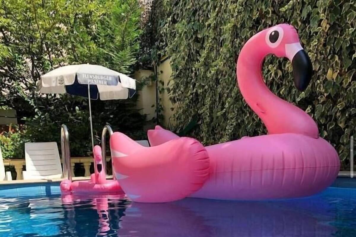 Ein rosa Flamingo-Schwimmreifen in einem Schwimmbecken.