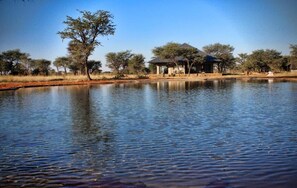 Property grounds - Africa Awaits Lodge (Gobabis)