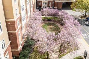 Property grounds - 3BR Modern Downtown Apartment with Gym & Office (Charlotte)