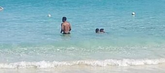 Ahh! (Ocean View Studio with Private Bath)