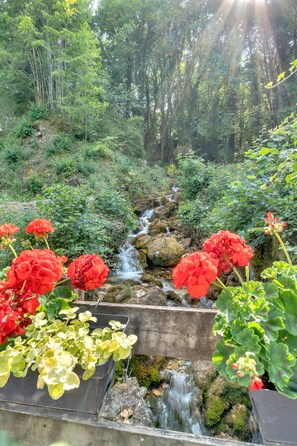 المنطقة المحيطة بالمنشأة