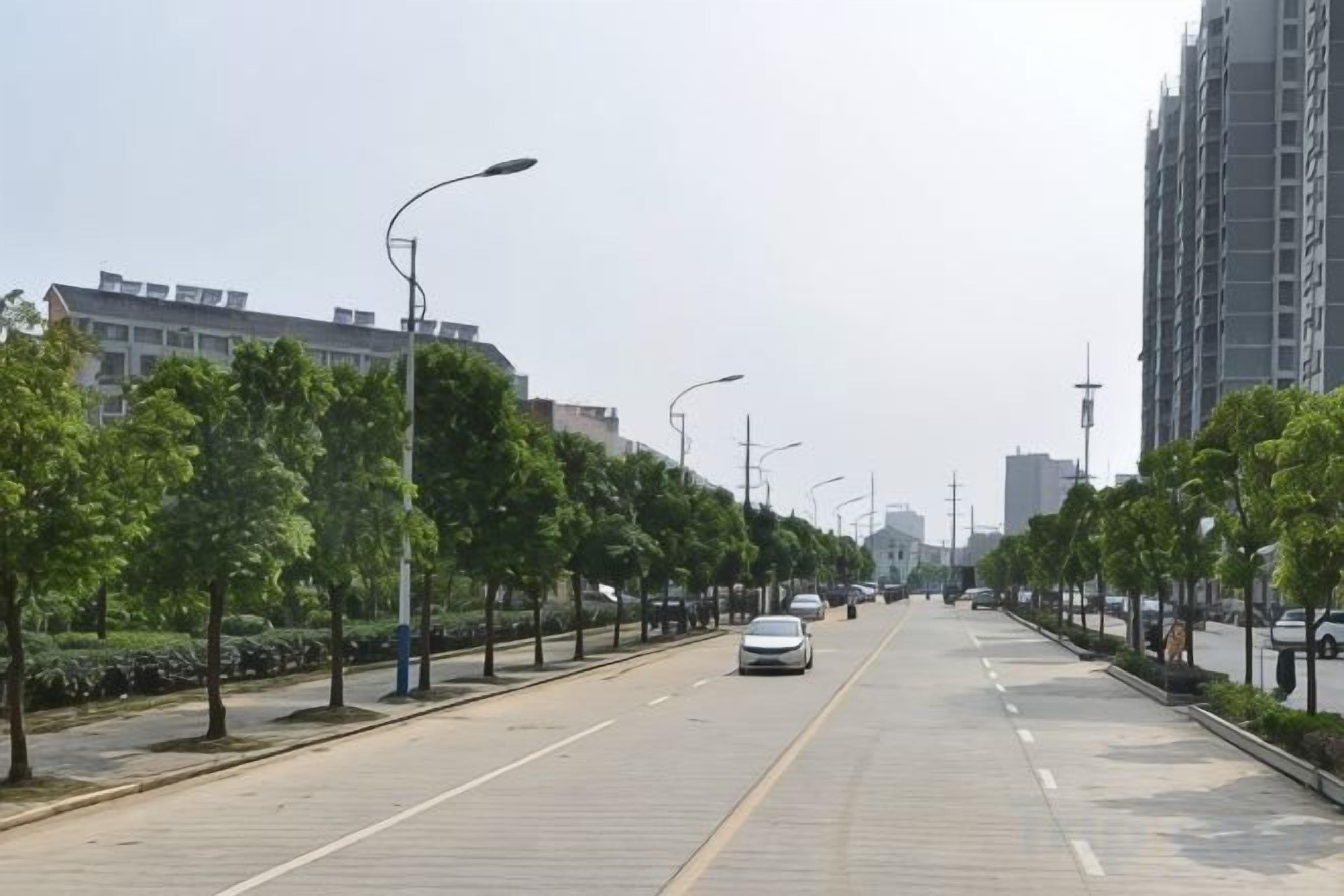 Ampla rua urbana com árvores ao longo de ambos os lados, ladeada por edifícios.
