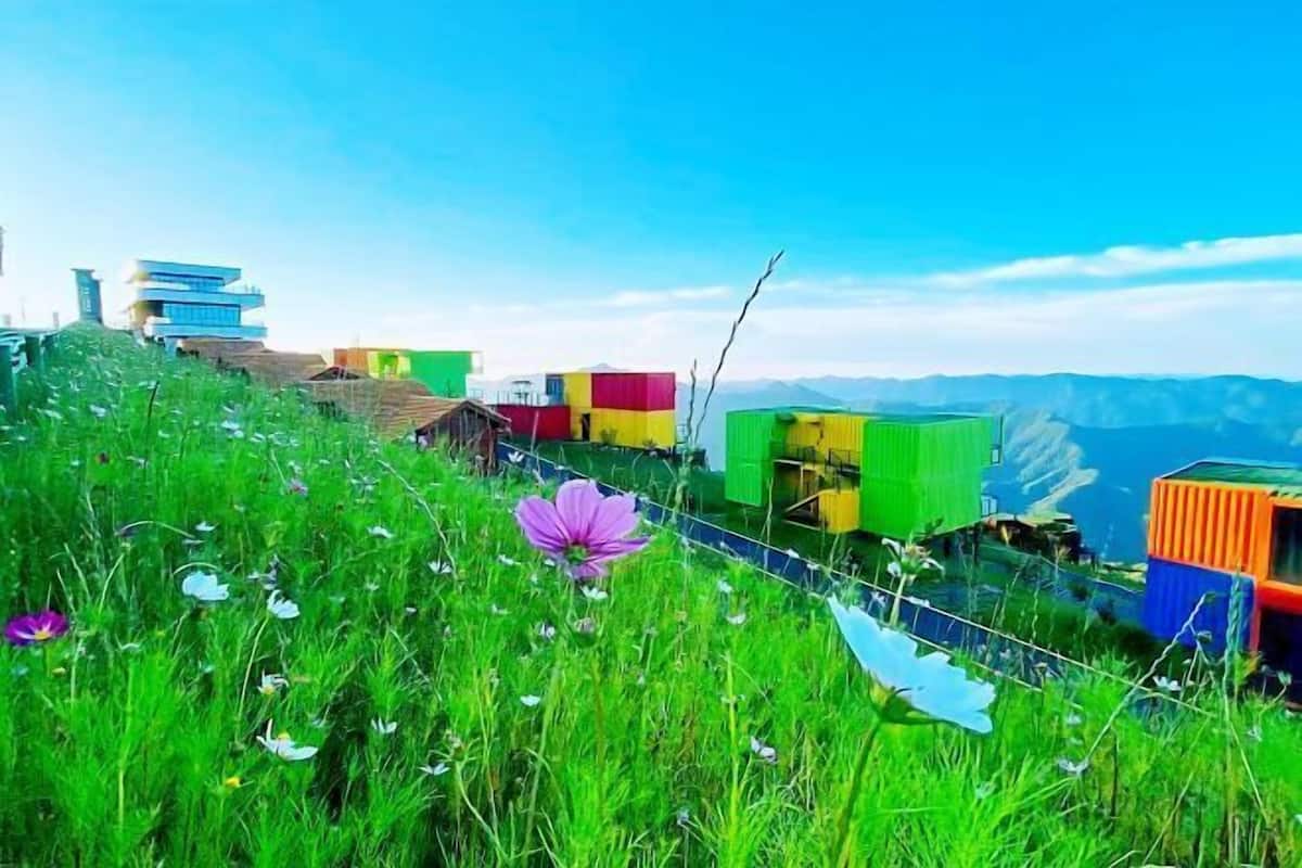 A grassy hillside with colorful shipping containers and a purple flower.