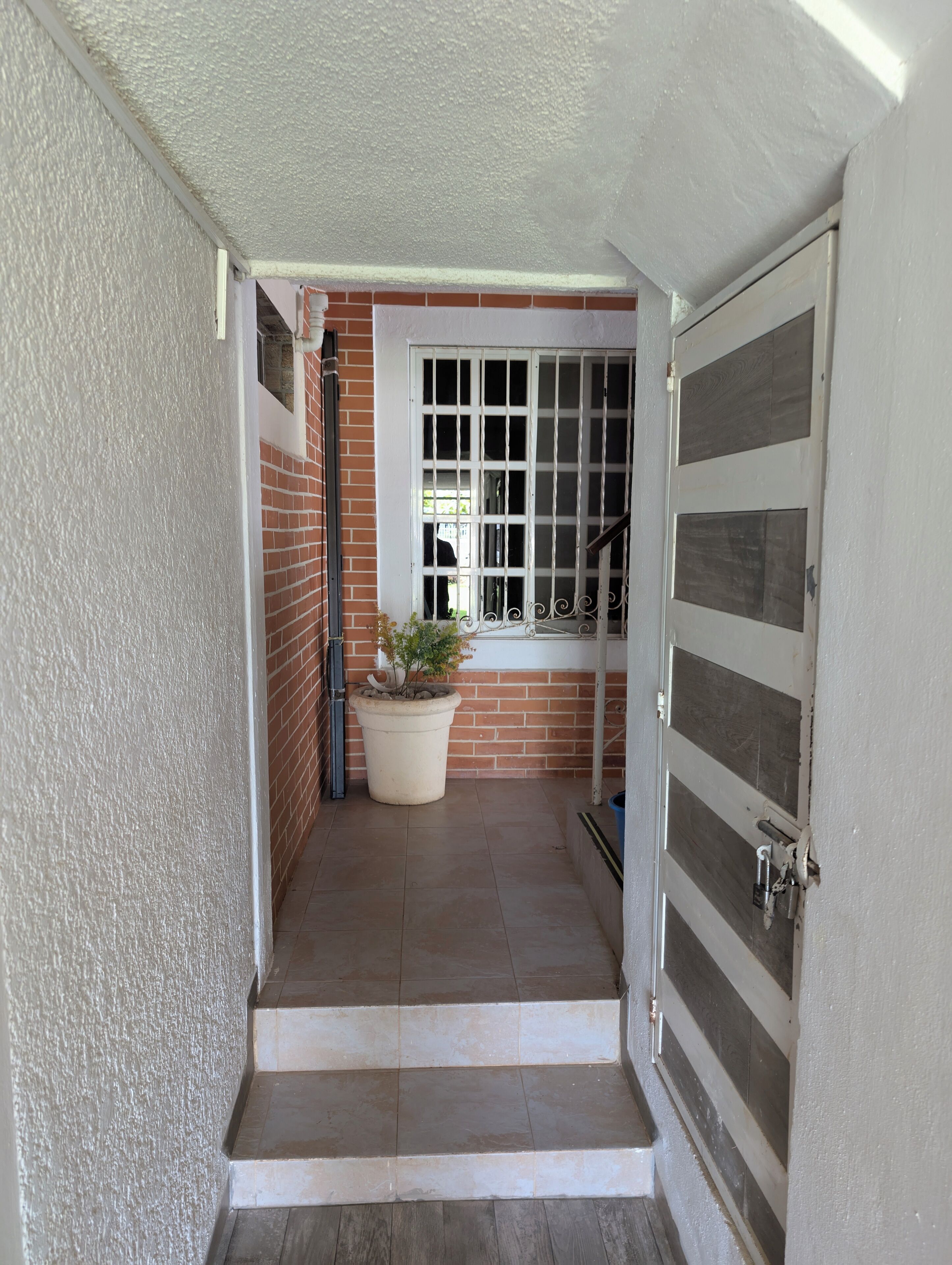 A narrow entrance with a white door, a potted plant, and a window with bars.