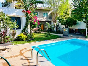 A swimming pool with a metal ladder, surrounded by a well-maintained garden with various plants and a house in the background.