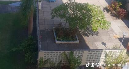 Cozy Tower Studio Apartment in the heart of Ocho Rios.
