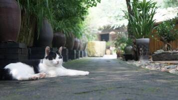 المنطقة المحيطة بالمنشأة