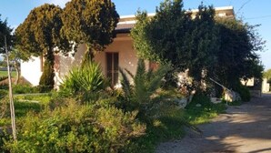 A building with a gravel driveway and lush greenery.