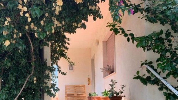 A staircase leading to a building entrance, surrounded by lush greenery and potted plants.