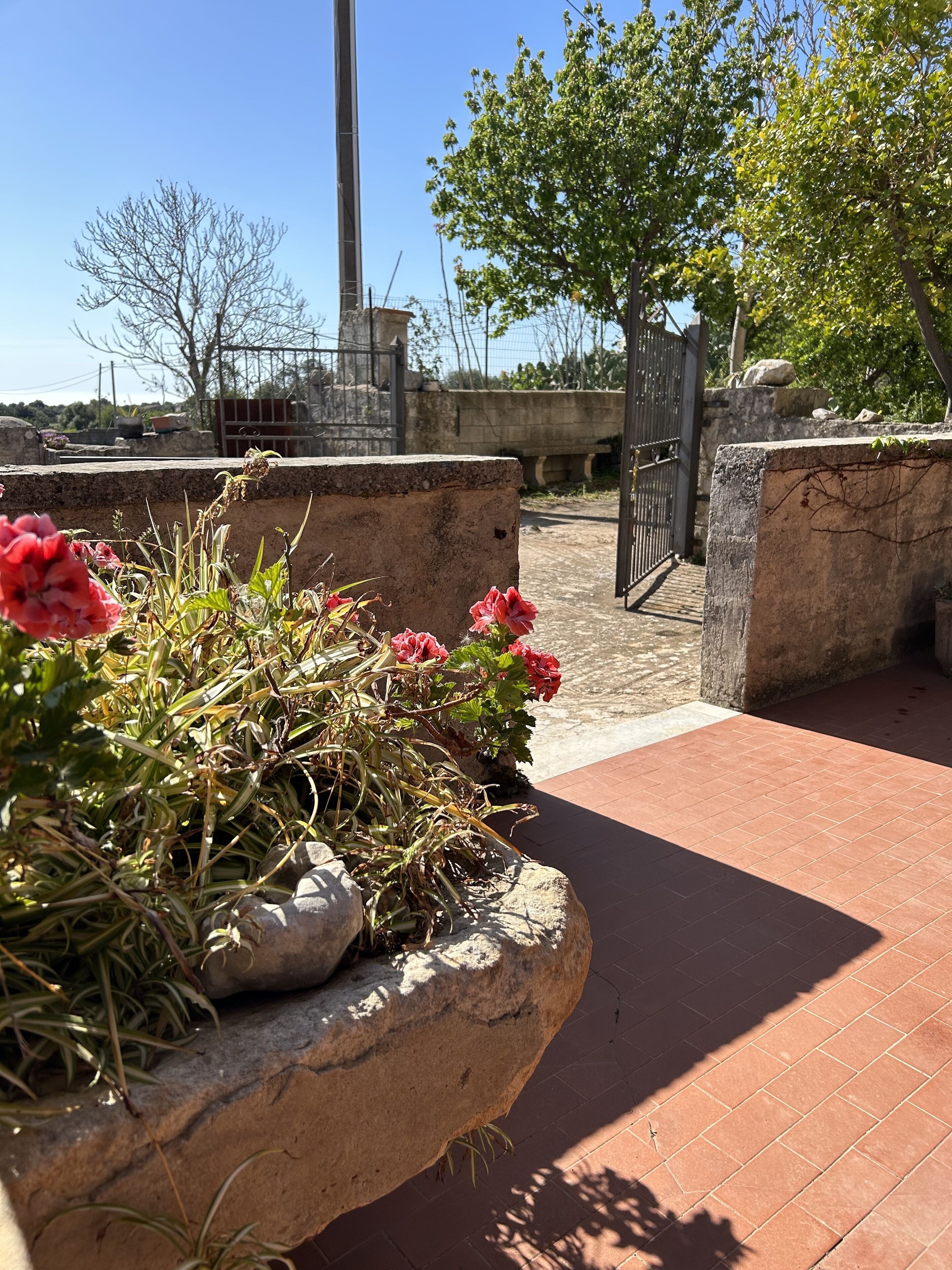 A courtyard with a stone planter containing red flowers, a paved walkway, and a gate leading to a building.