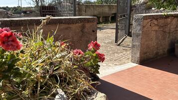A courtyard with a stone planter containing red flowers, a paved walkway, and a gate leading to a building.