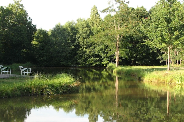 Overnatningsstedets område