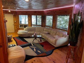 TV connectée, cheminée, livres