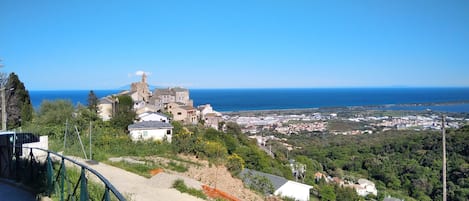 Vista desde la propiedad
