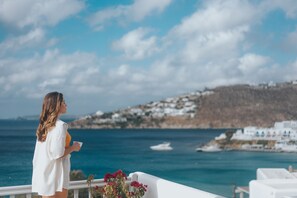 Exterior - MyMykonos Villa II Beach Front  (Mykonos)