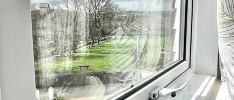 A window with a view of a grassy area and trees, a white window frame, and a window handle.