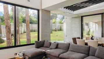 TV, fireplace, offices