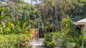 A pathway surrounded by lush tropical vegetation leading to a wooden gate. - Unique beach side villa Rocamar Santa Teresa (Puntarenas Province)